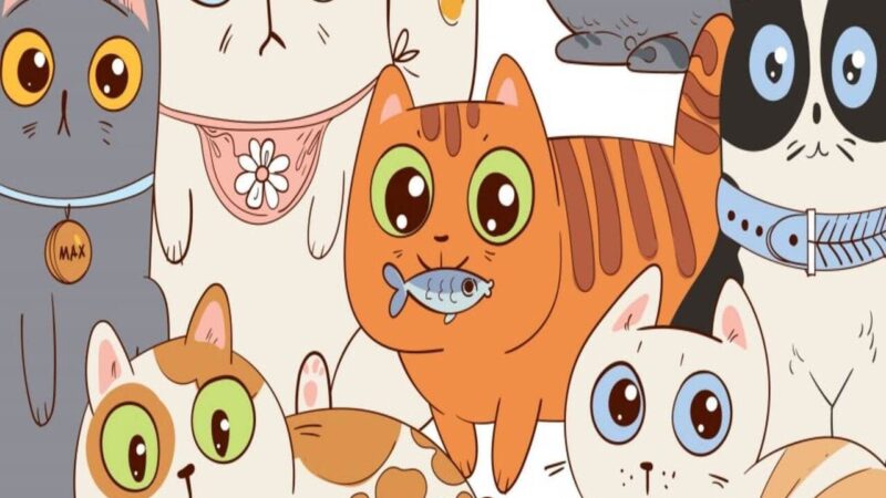 Помощь в написании студенческих работ